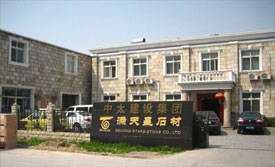滿天星公司